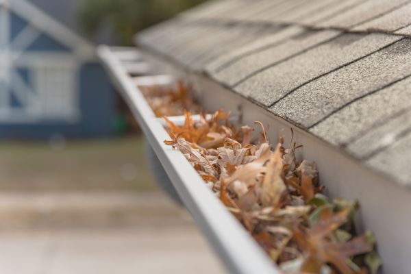 Leaf Barrier Installation in Bellevue